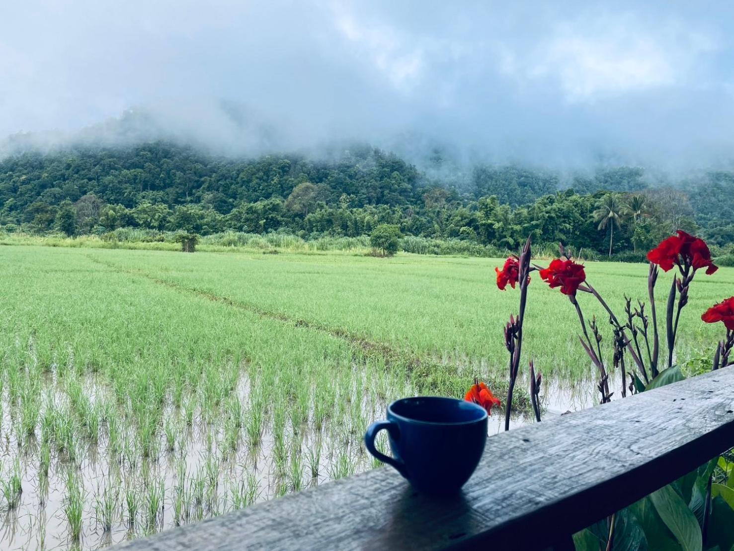 บ้านสวนวิวทุ่ง Ban Mae Sap Nua Exterior foto